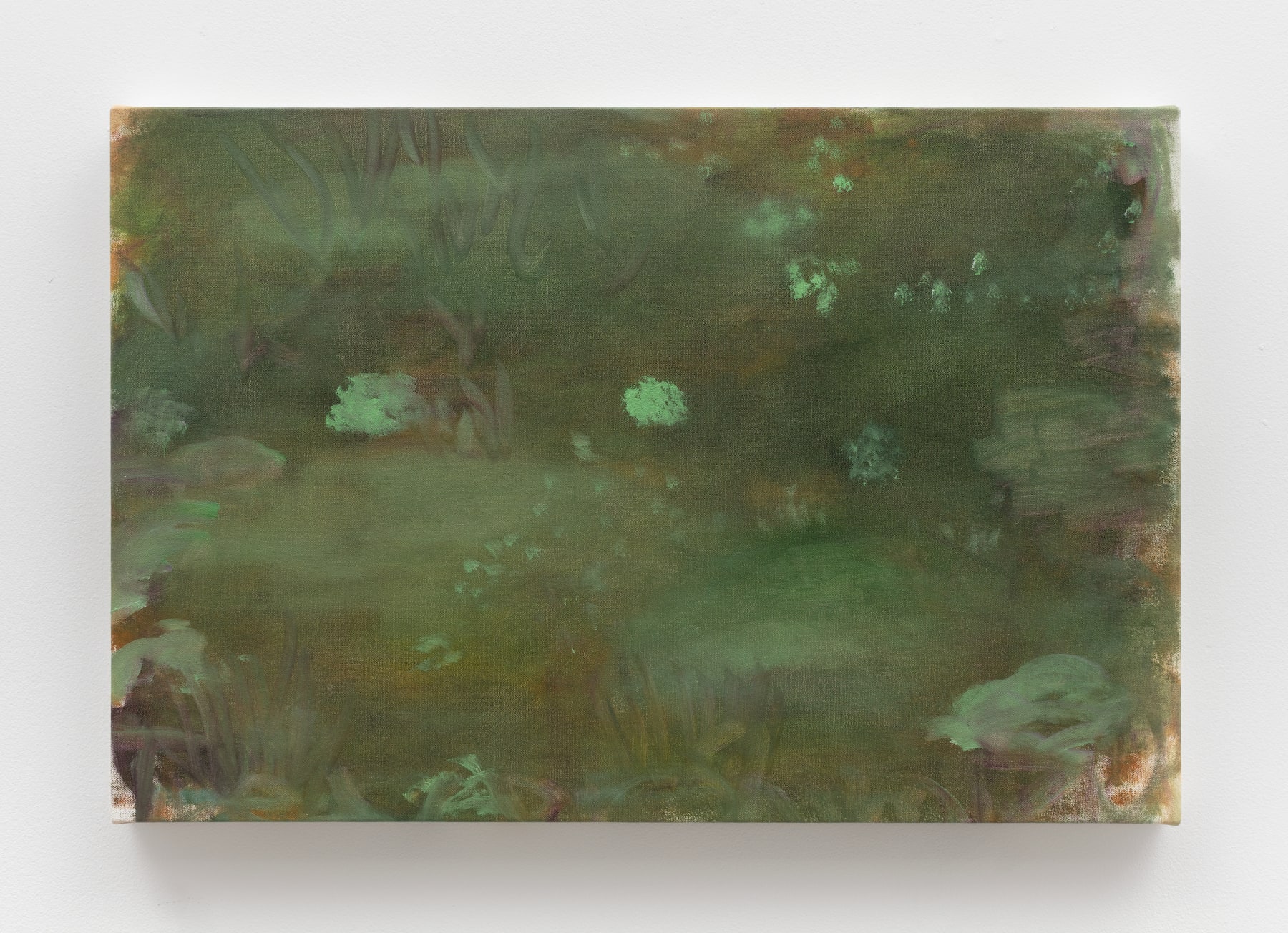 Trevor Shimizu, Moss (detail) (3), 2019