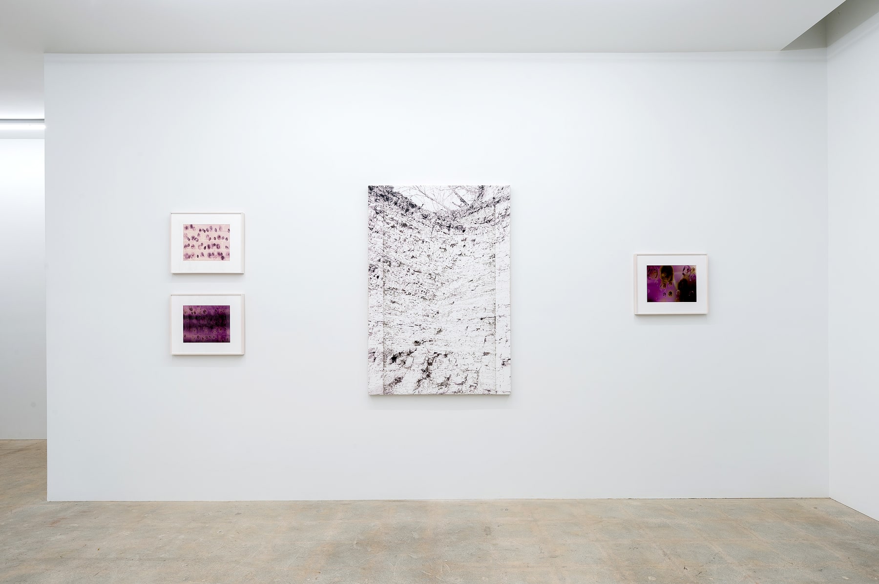 Kunié Sugiura, 300,000 yrs ago, Shiobara A, 2016