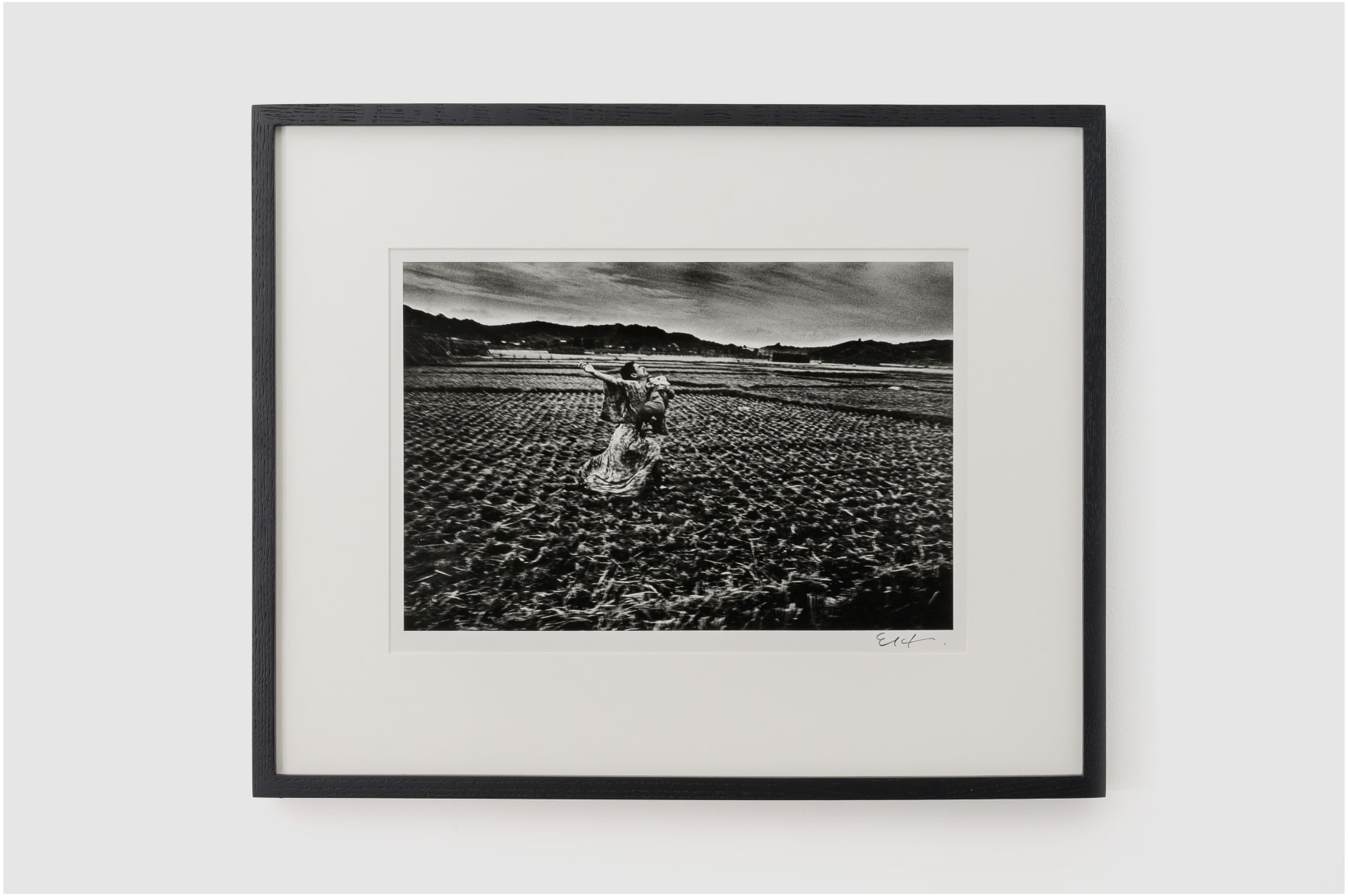 Eikoh Hosoe, Kamaitachi #37, 1965/2014
