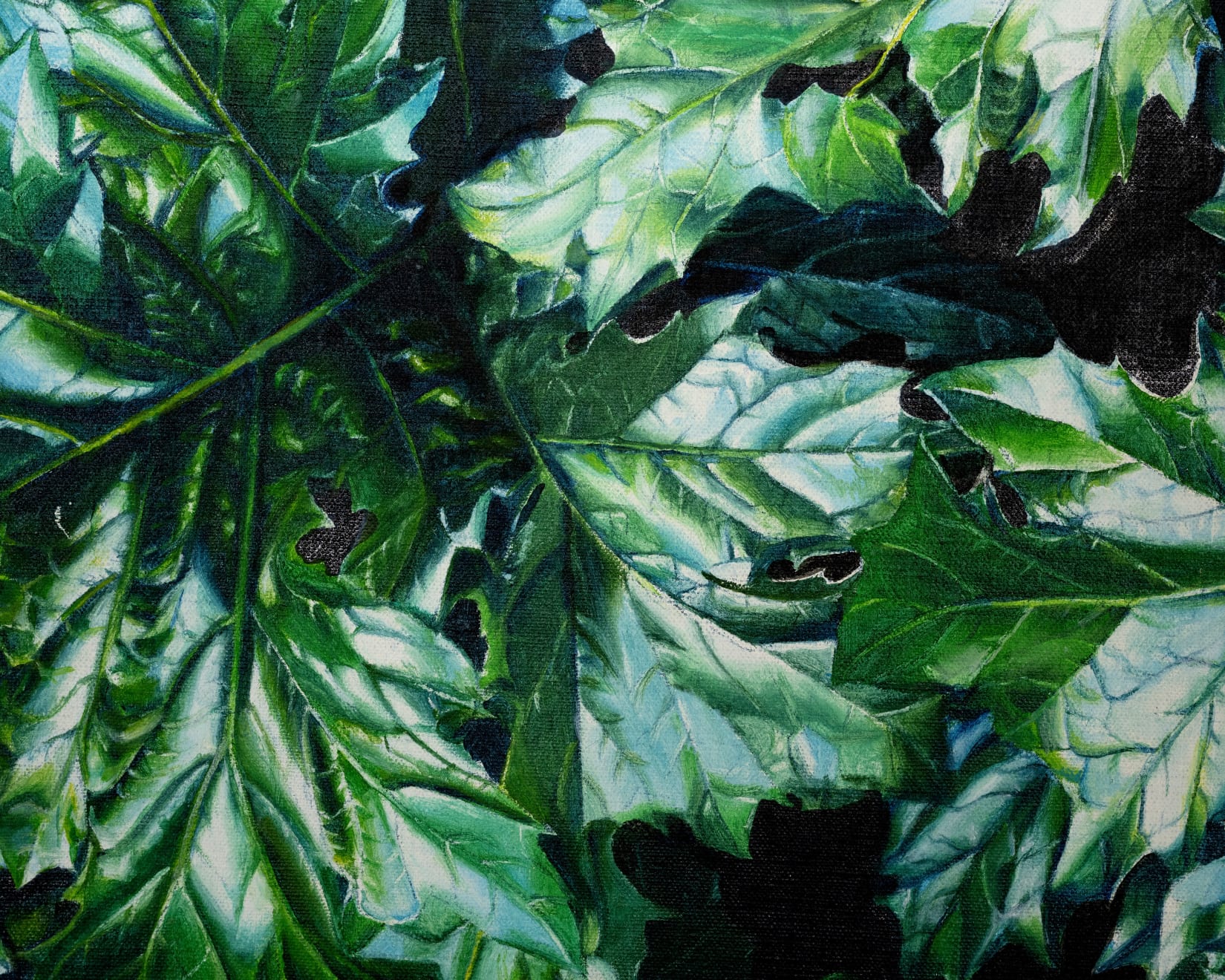 Kaoru Ueda, Acanthus B, 2013