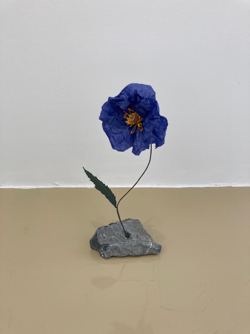 Megumi Shinozaki, Poppy, 2023