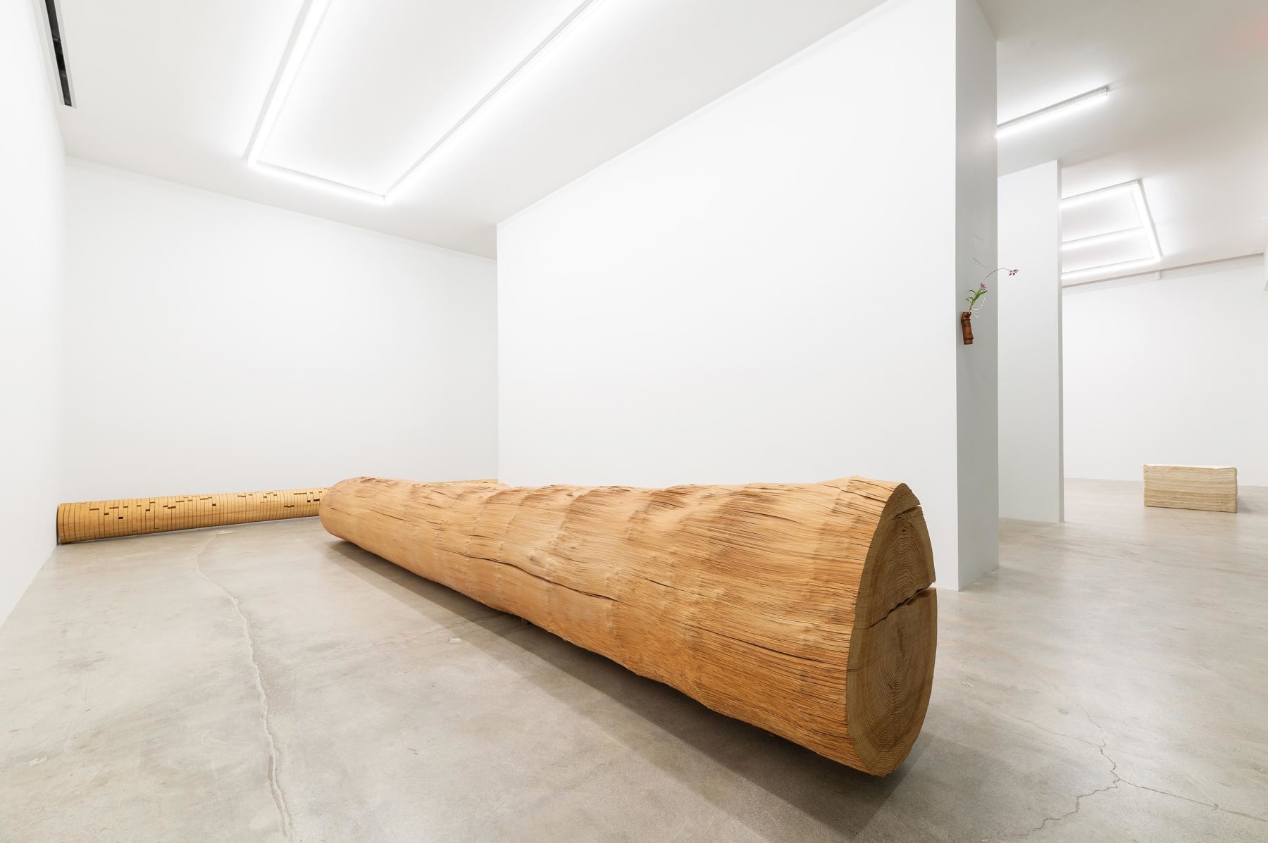 Kazuo Kadonaga, Wood No. 5 CI, 1984