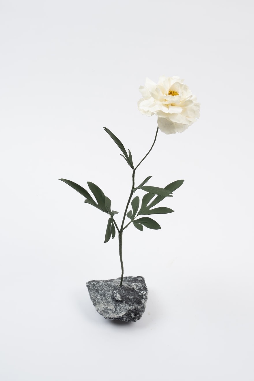 Megumi Shinozaki, Peony, 2023