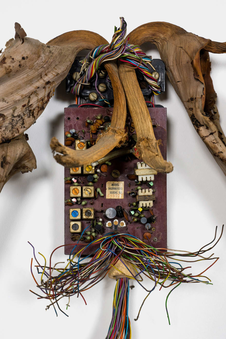 Kenzi Shiokava, Untitled, n.d.