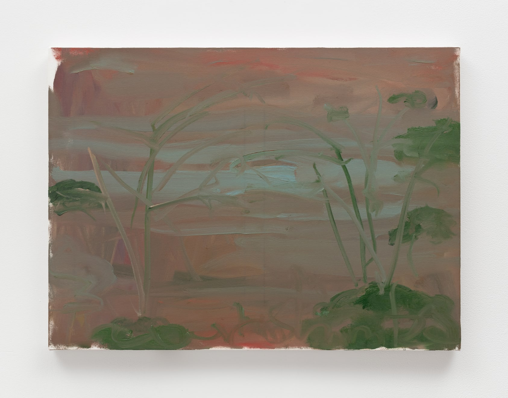Trevor Shimizu, Ocean and Trees, 2019