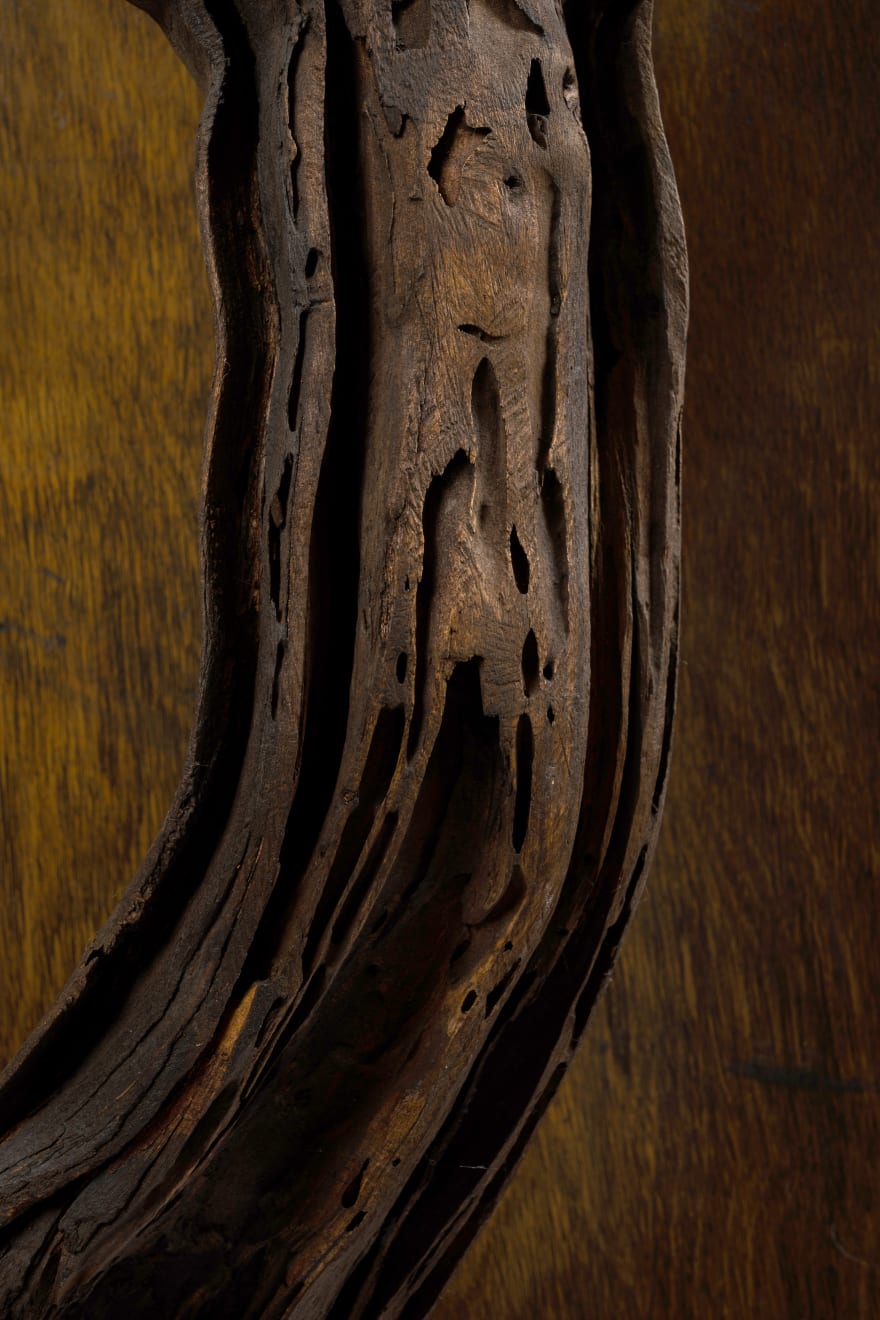 Kenzi Shiokava, Untitled, n.d.