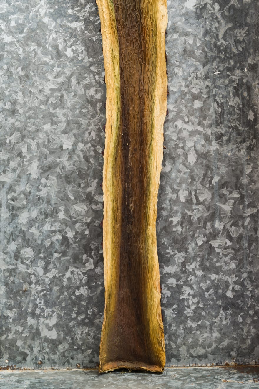 Kenzi Shiokava, Untitled, n.d.