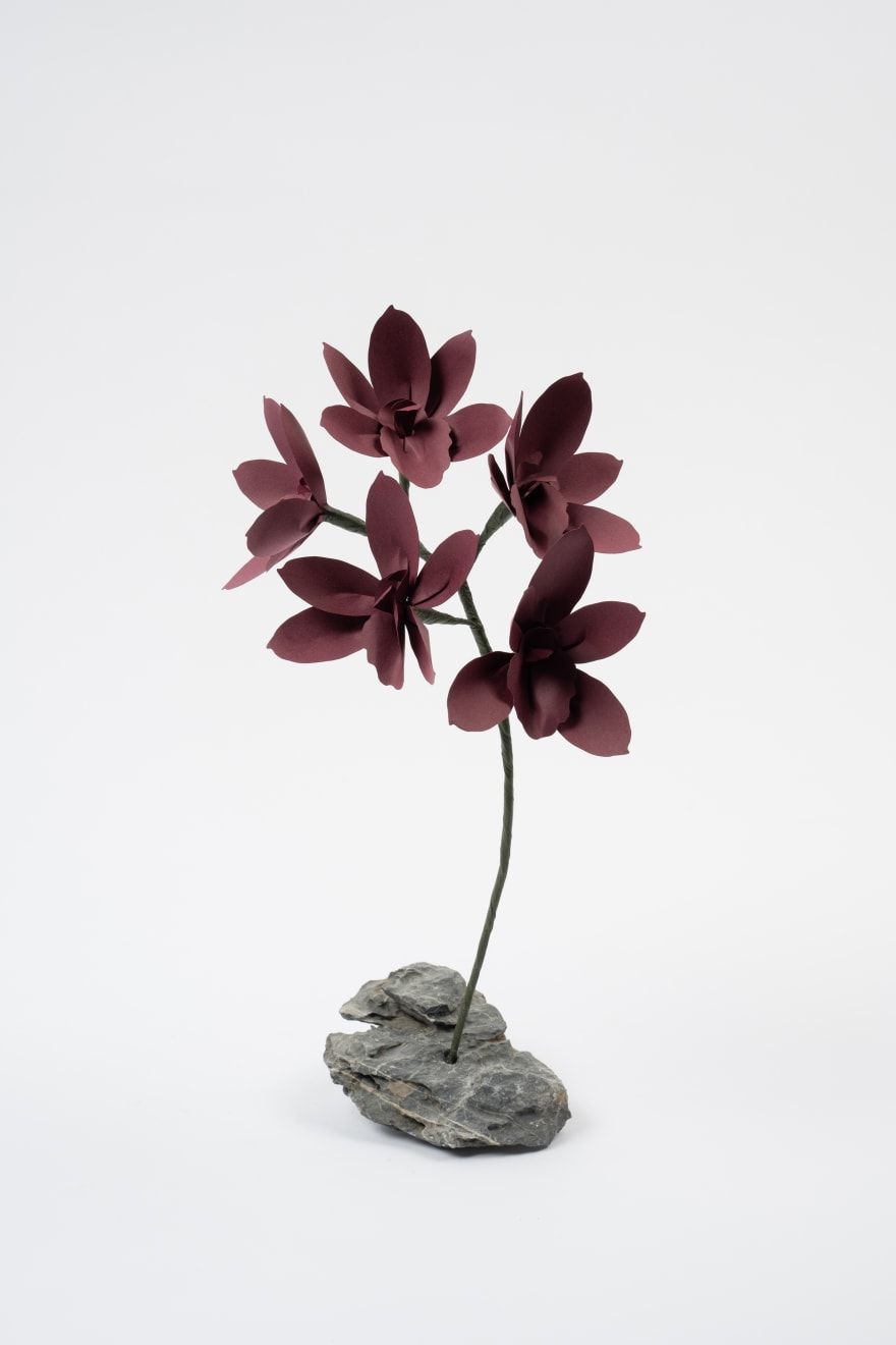 Megumi Shinozaki, Cymbidium, 2023