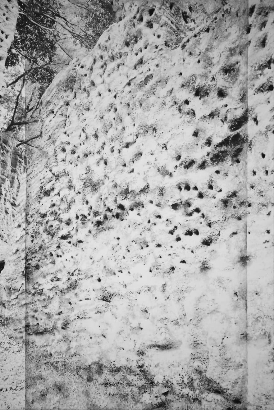 Kunié Sugiura, Hawk Hunt Mountain_A, 2017