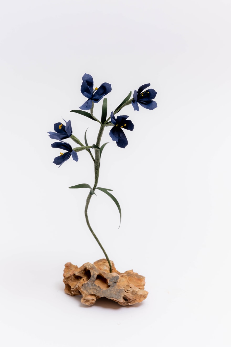 Megumi Shinozaki: edenworks, Delphinium, 2022