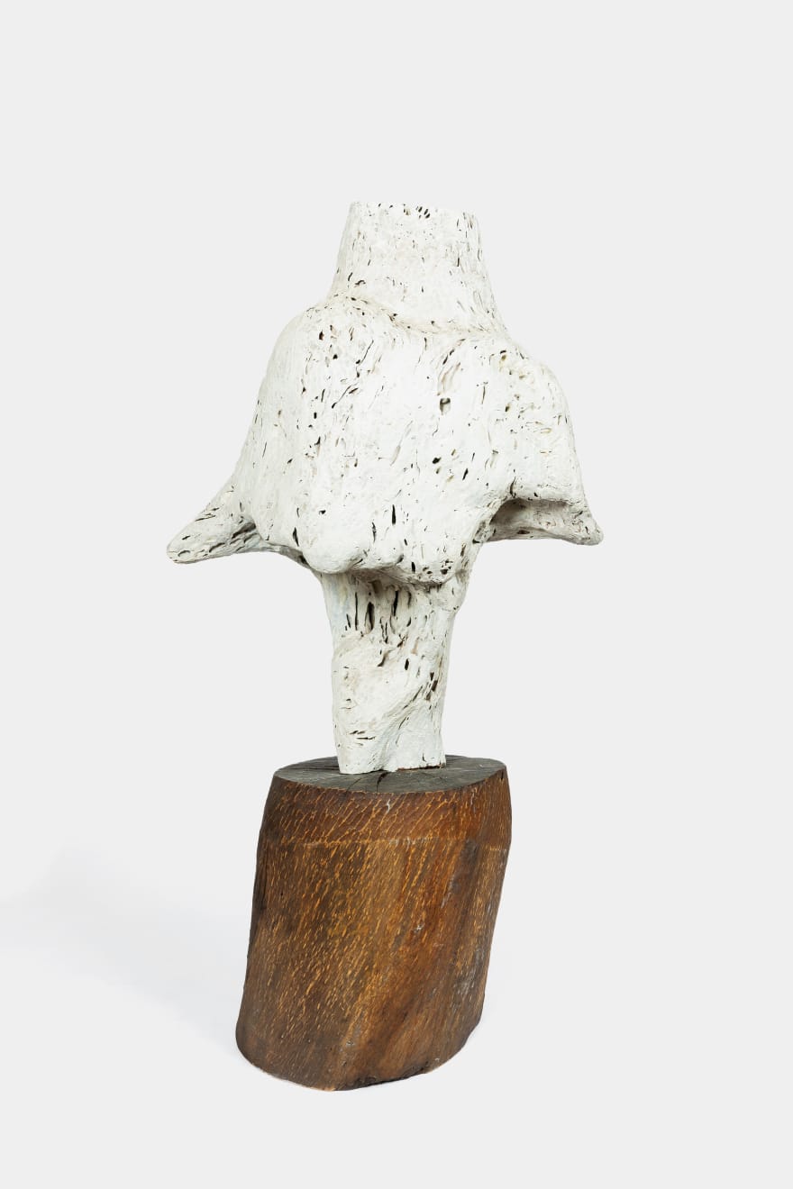 Kenzi Shiokava, Untitled, 2017
