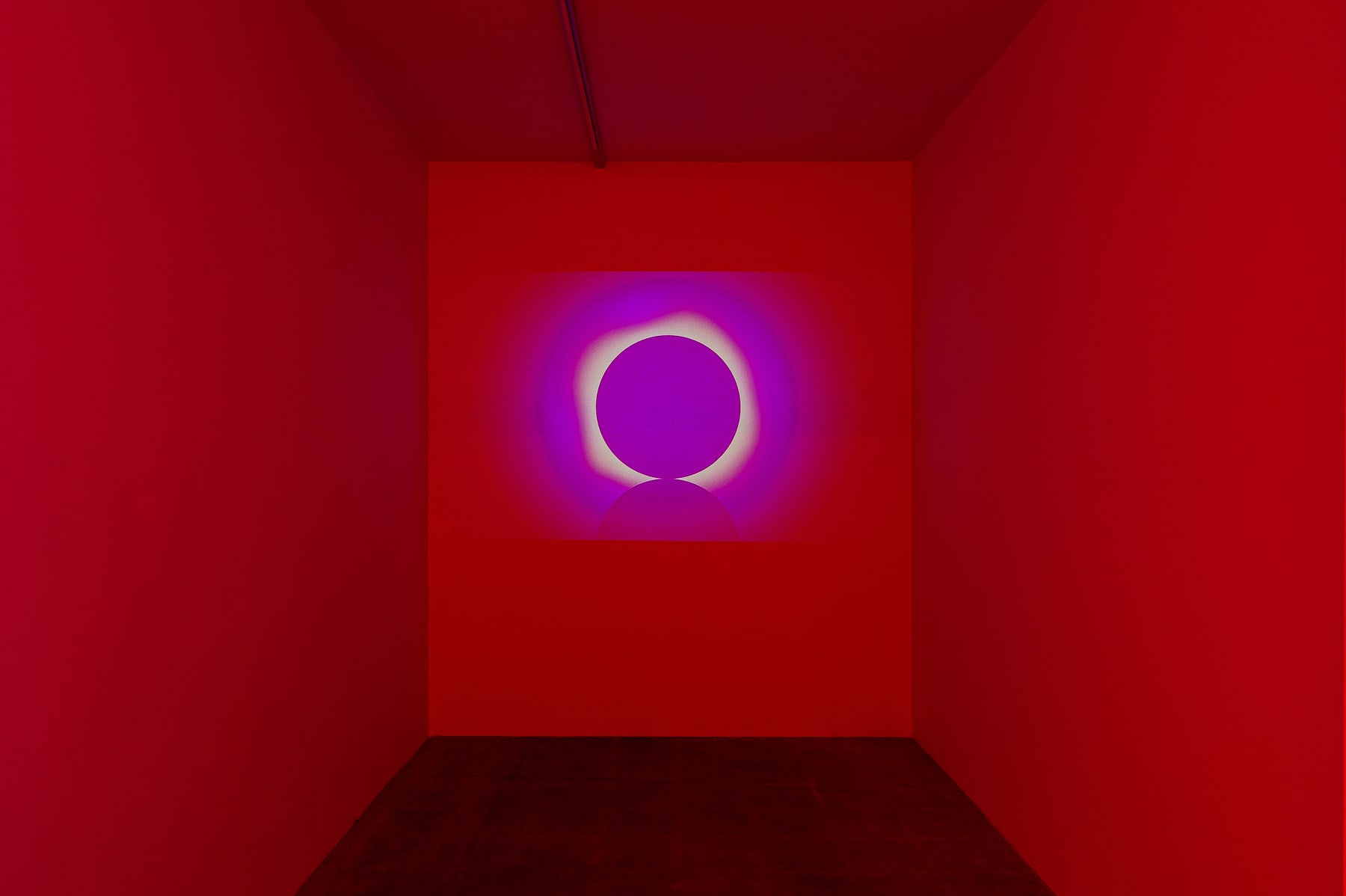 Takuro Tamayama, Eclipse, 2019