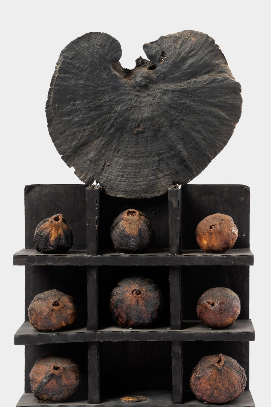 Kenzi Shiokava, Sources, 1969