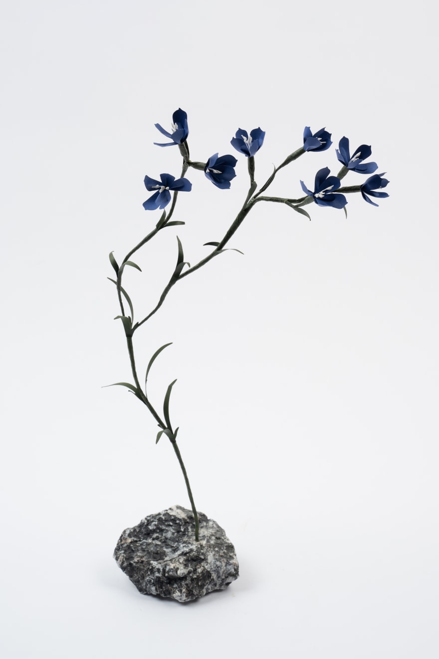 Megumi Shinozaki, Delphinium, 2023