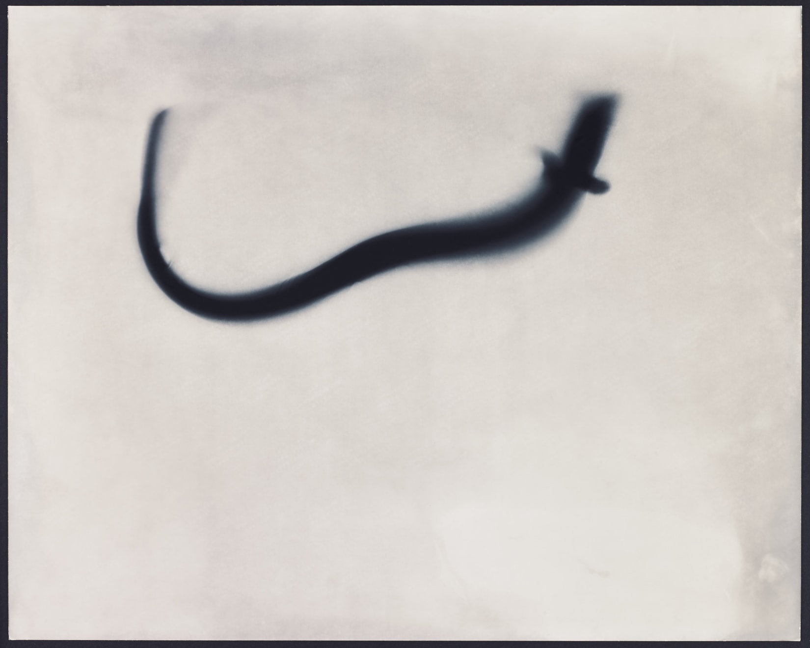 Kunié Sugiura, Eel Study Positive AP, 1997