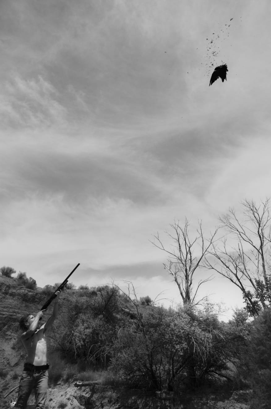 Jim Mangan, Crow, 2019/2025