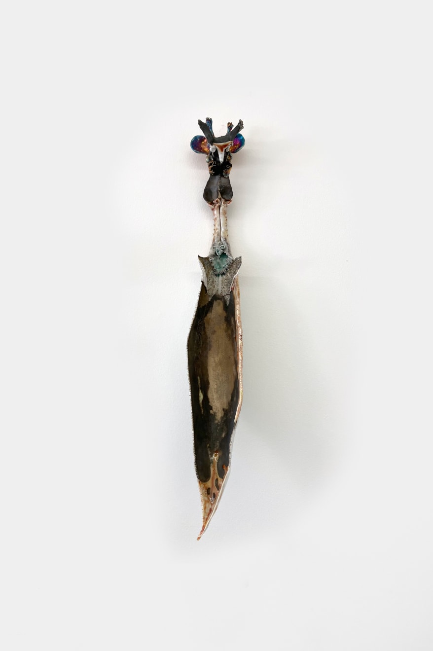 Kentaro Kawabata, Spoon, 2002