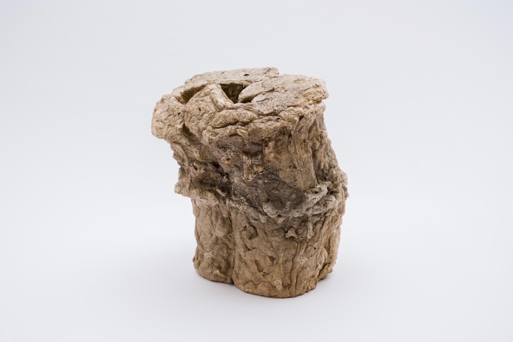 Keita Matsunaga, cocoon, 2021