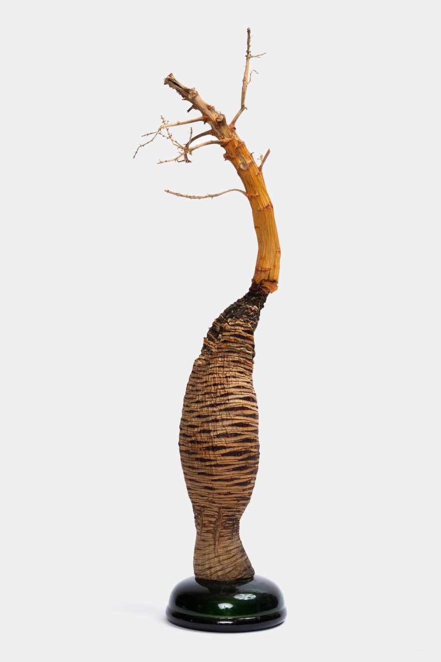 Kenzi Shiokava, Untitled, 2017