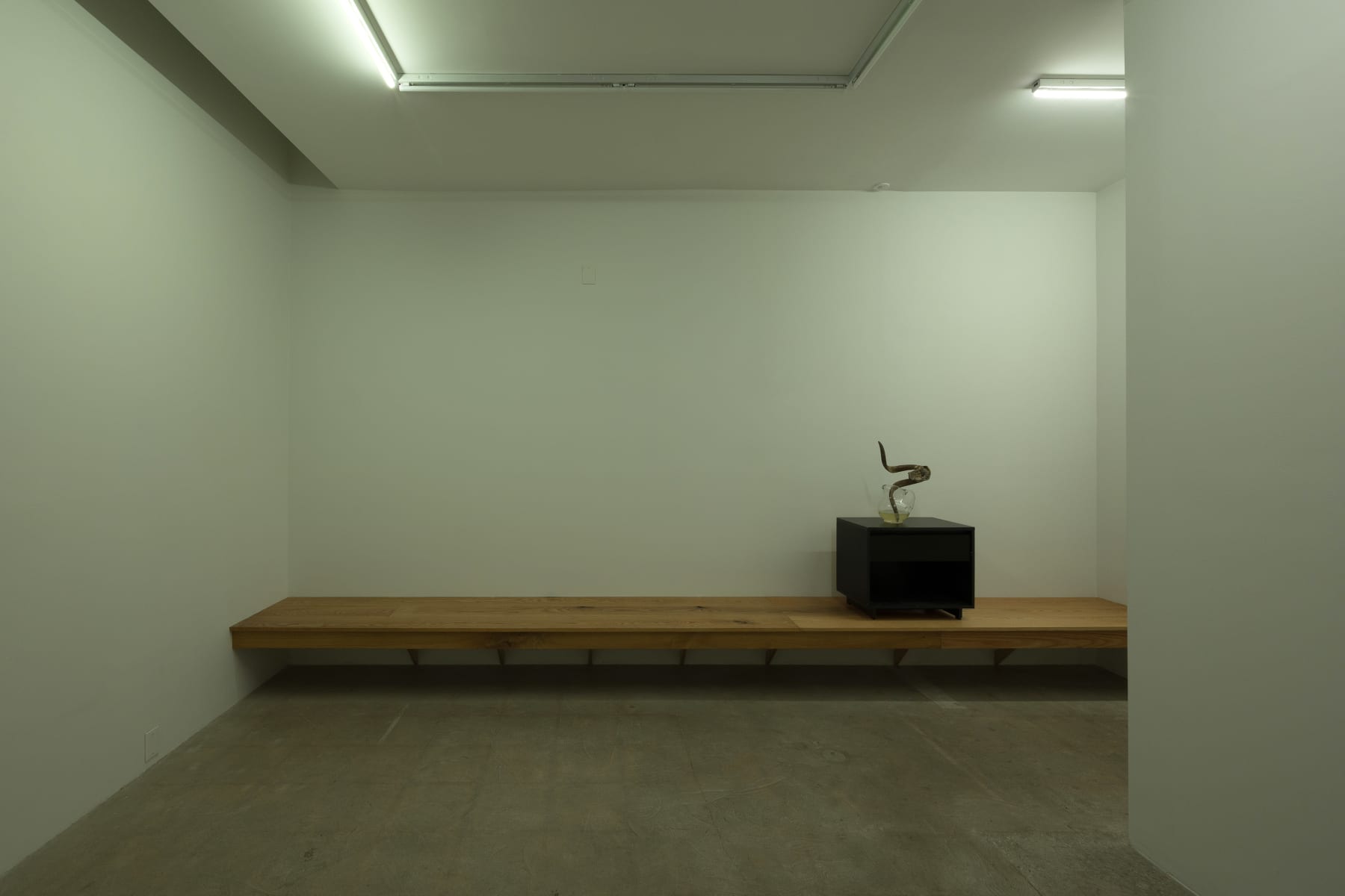 Michael E Smith, Untitled, 2022