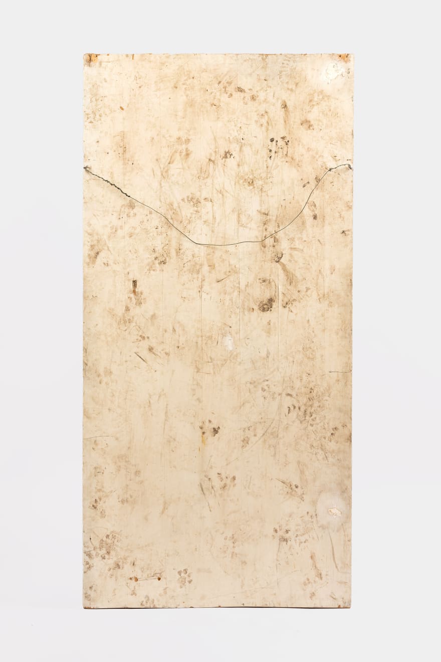 Kenzi Shiokava, Kimono, 2010
