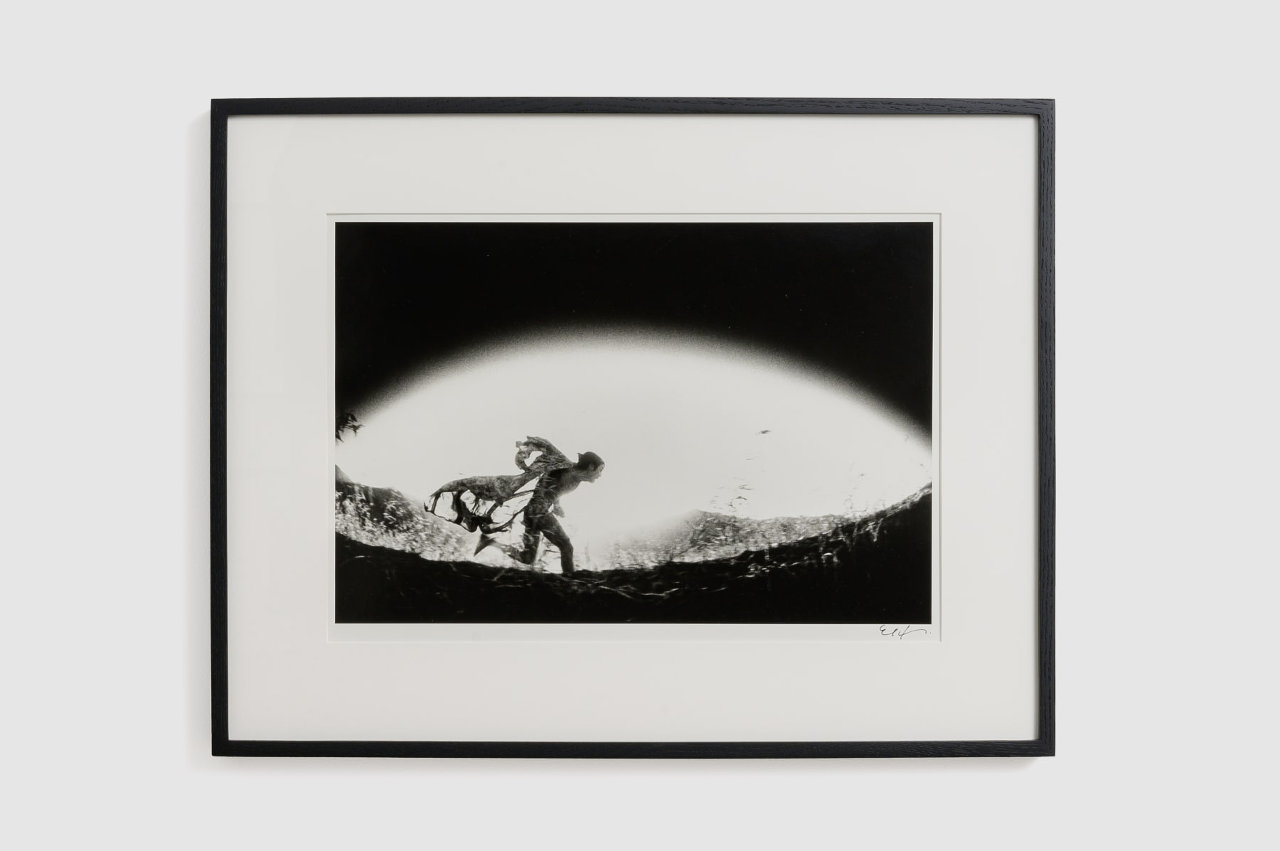 Eikoh Hosoe, Kamaitachi #31, 1968/2015