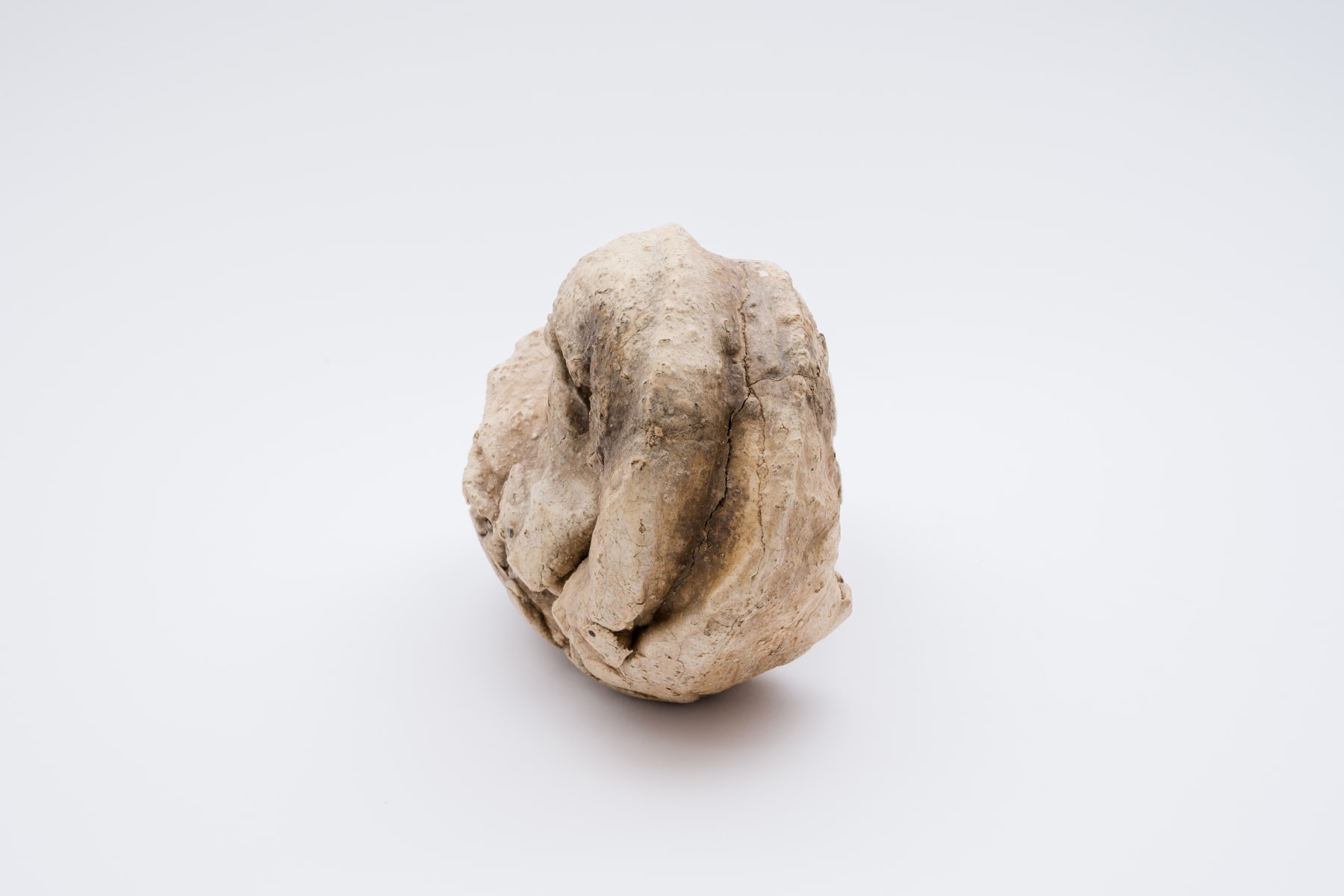 Keita Matsunaga, Cocoon, 2021