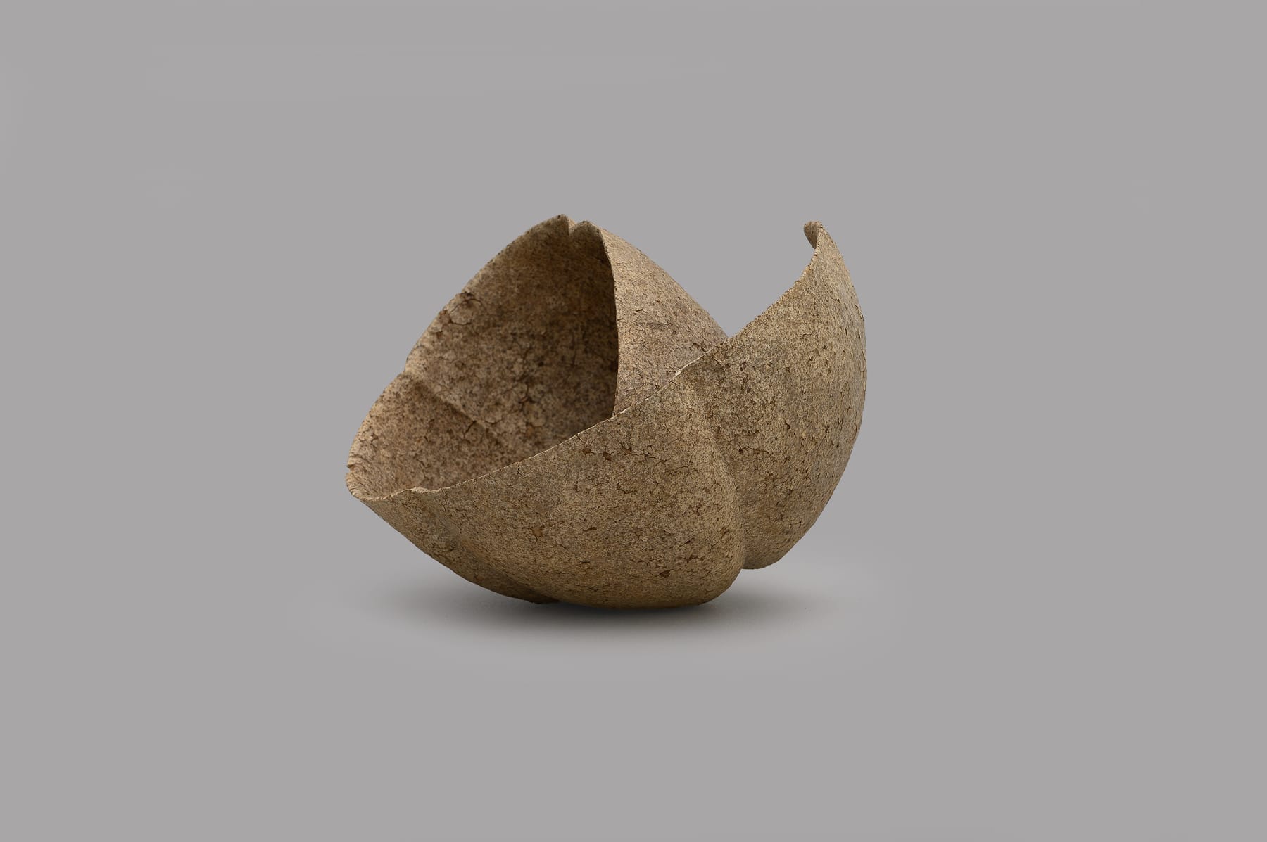 Keita Matsunaga, 手話 (B) - Shuwa (B), 2019