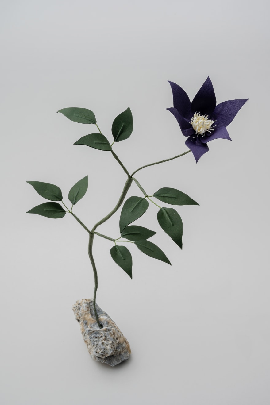 Megumi Shinozaki: edenworks, Clematis, 2020