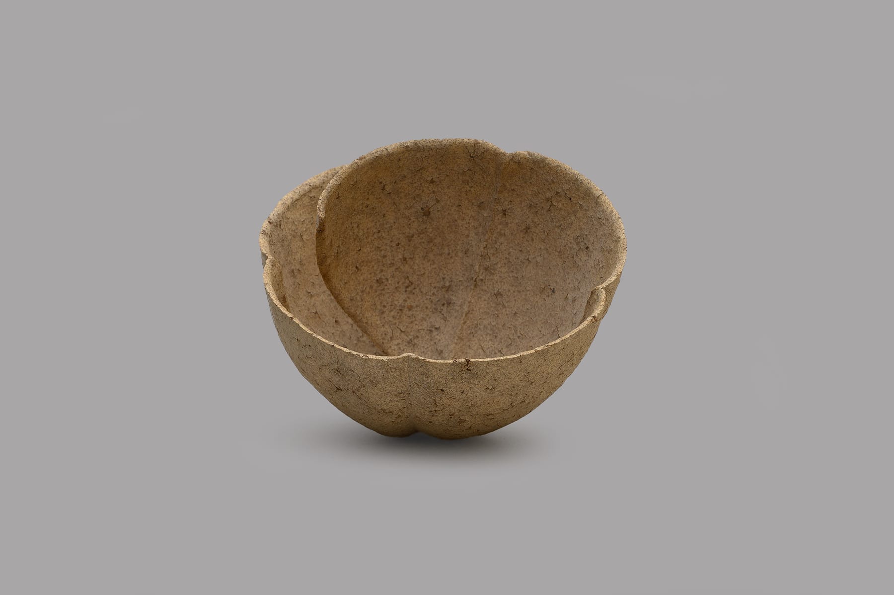 Keita Matsunaga, 手話 (C) - Shuwa (C), 2019