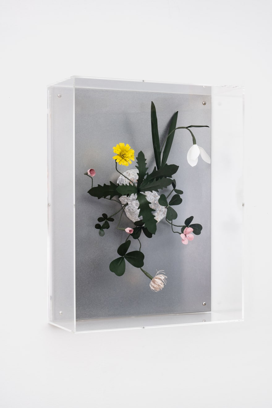 Megumi Shinozaki, Growth