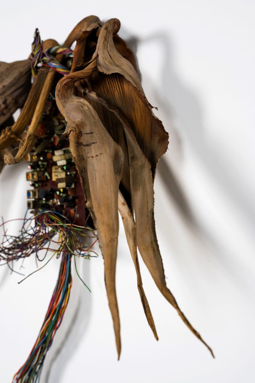 Kenzi Shiokava, Untitled, n.d.