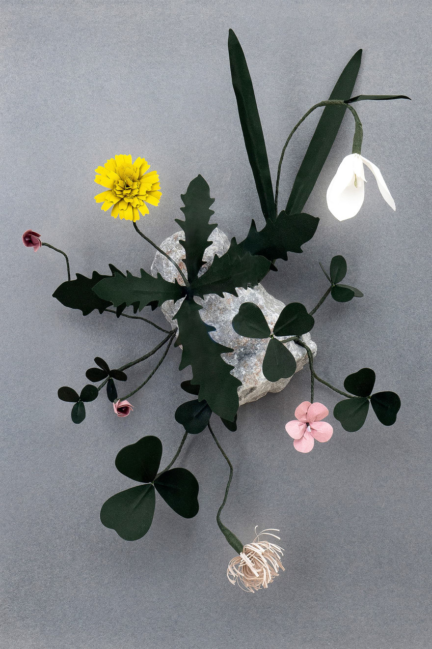 Megumi Shinozaki, Growth