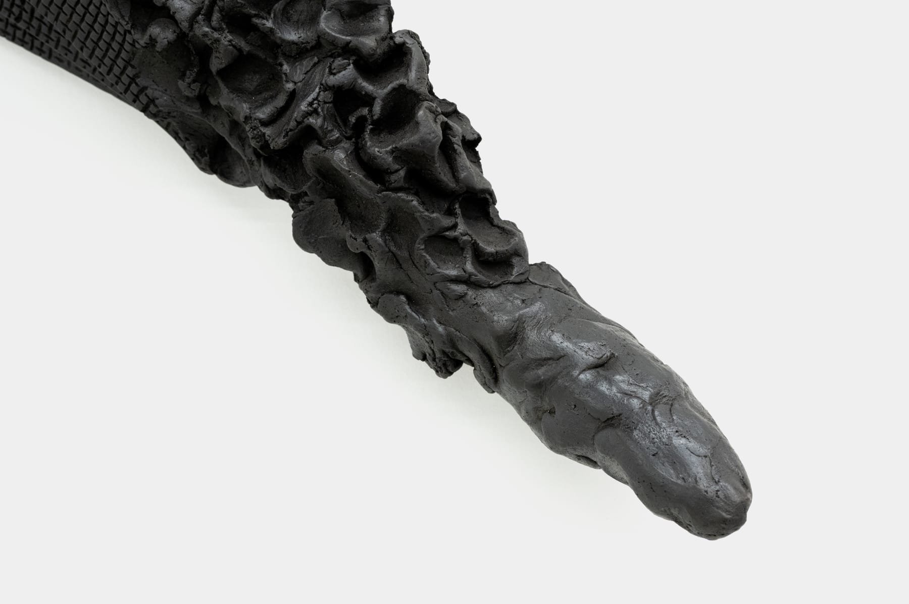 Satoru Hoshino, Metamorphosis / 変性―土の板変じて鳥になる, 1988