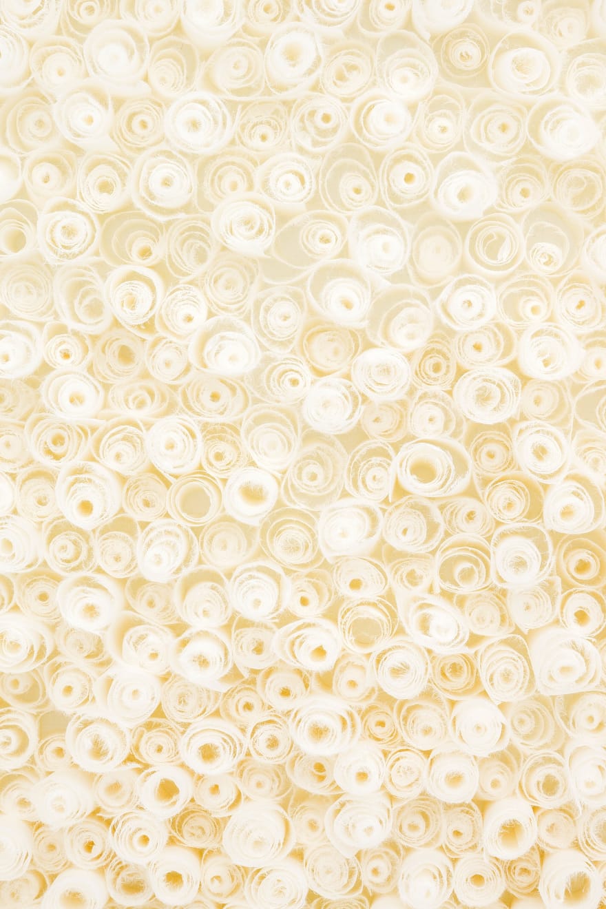 Rakuko Naito, Untitled, 2016