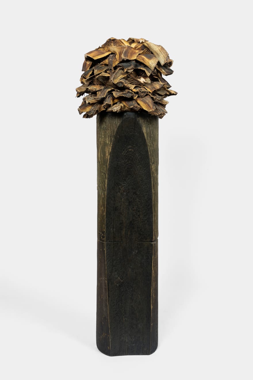 Kenzi Shiokava, Untitled, 2005
