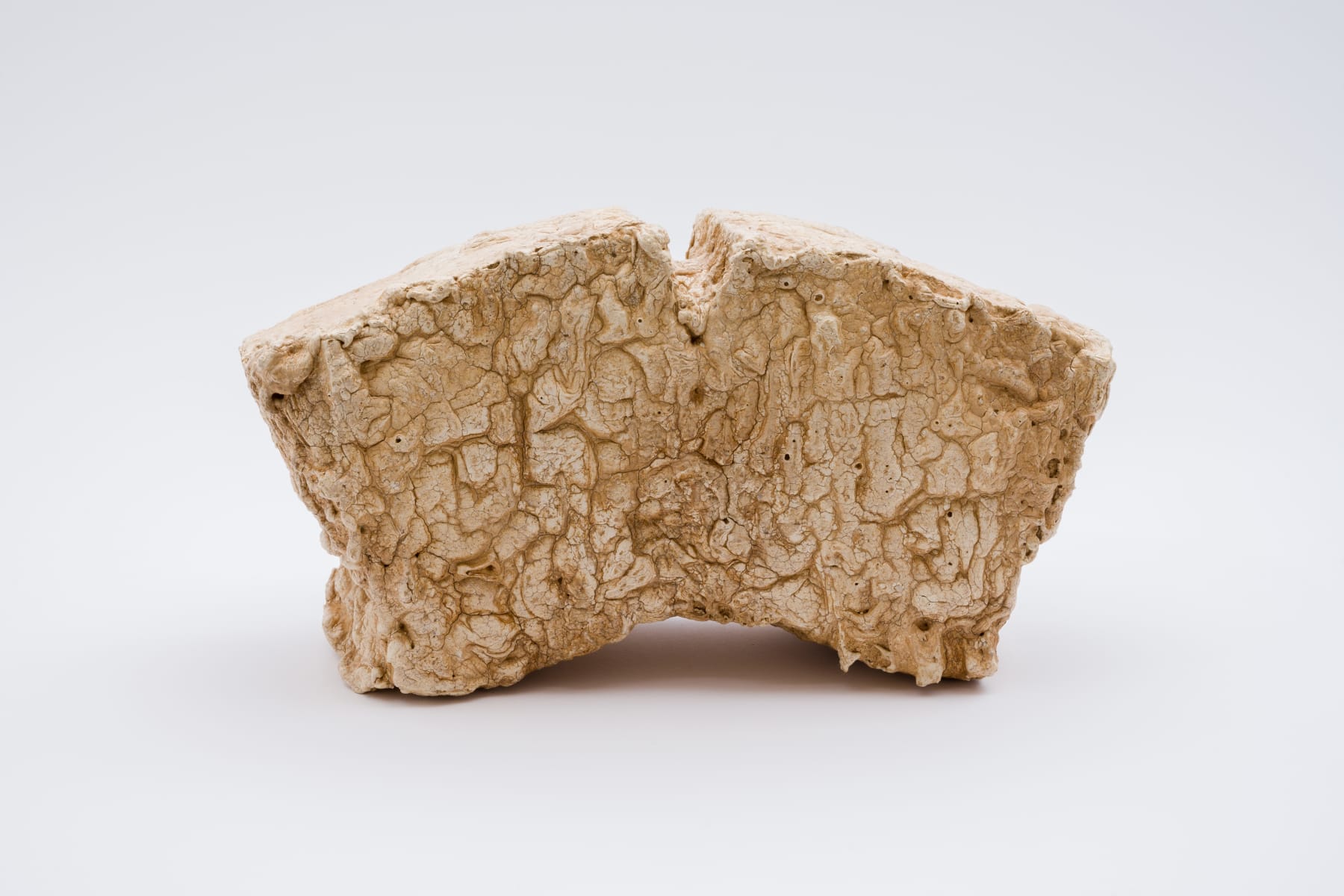 Keita Matsunaga, cocoon, 2021