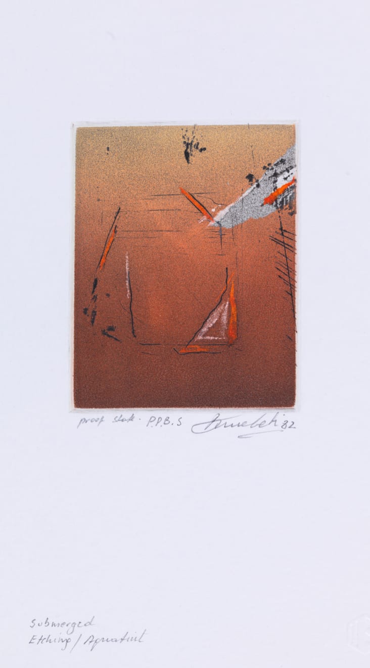 Bruno Leti, Submerged (P.P.B Series), 1982