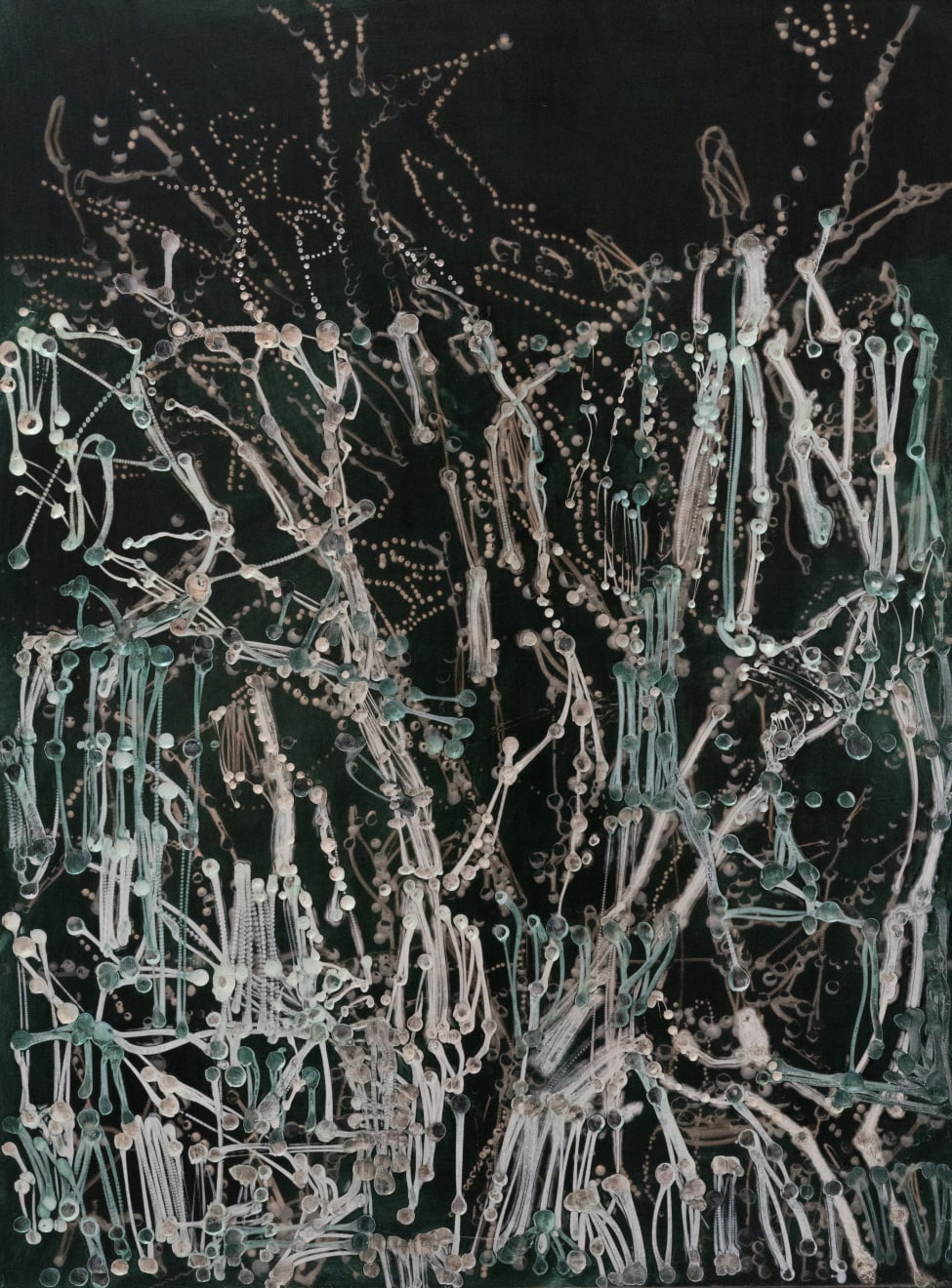 Kim Westcott, Sap, 2023