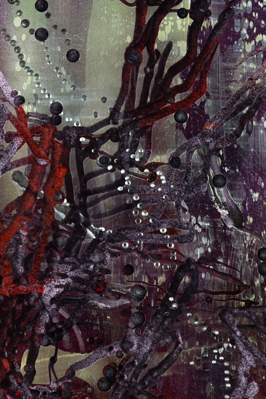 Kim Westcott, Forest Of Light - Winter I, 2024