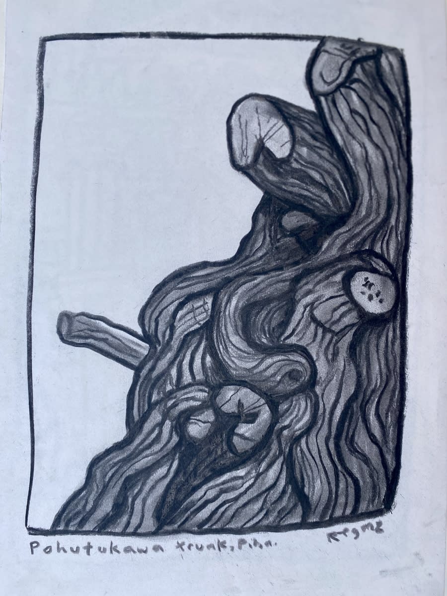 Reg Mombassa, Pohutukawa trunk Piha