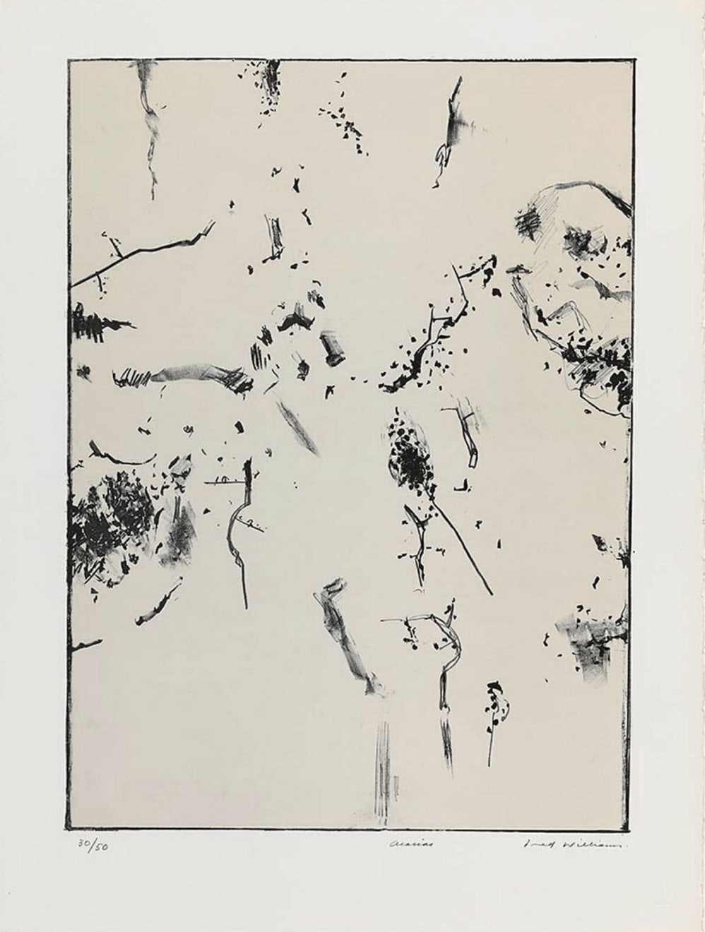 Fred Williams, Acacias, 1976-1978