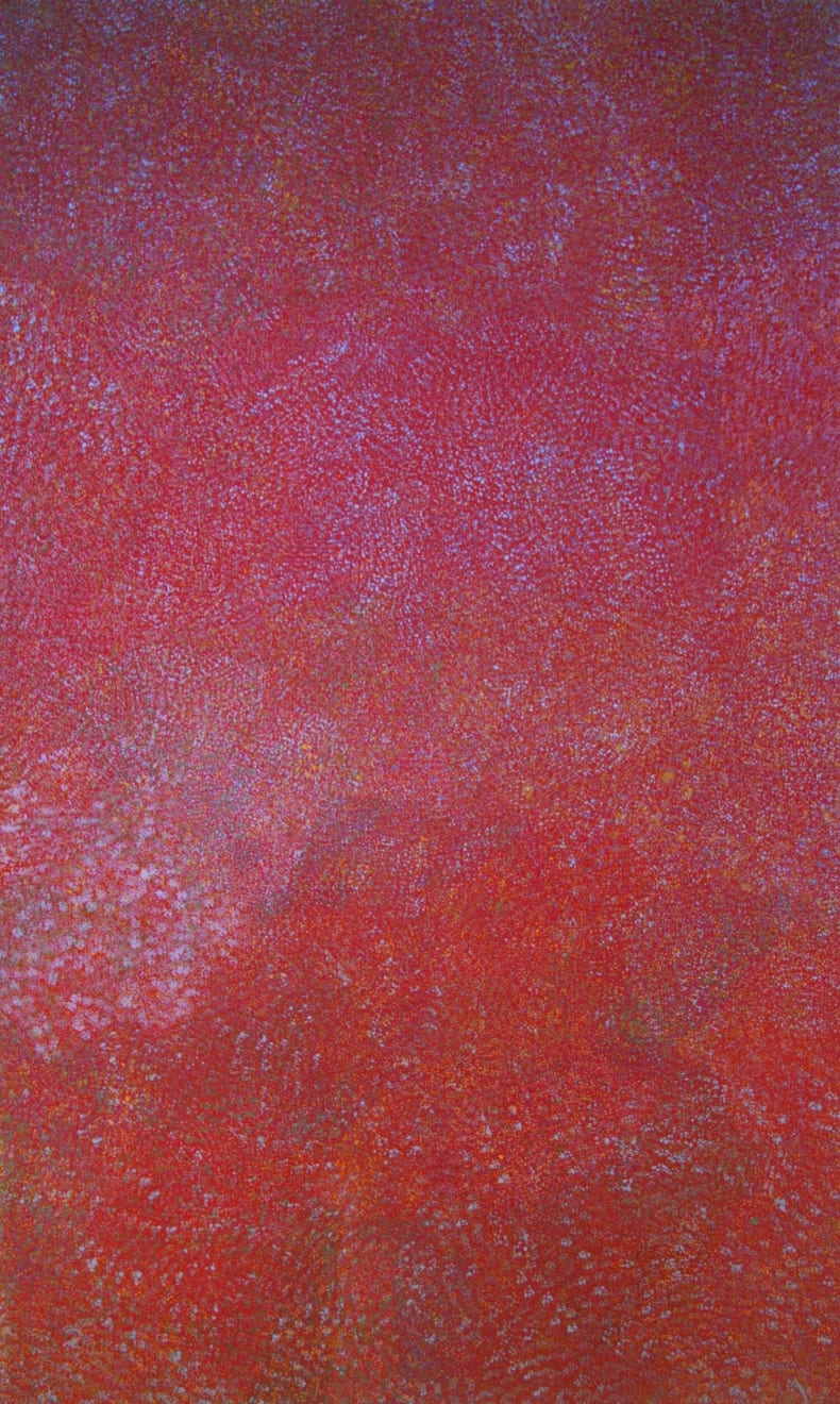 Angelina Pwerle, Aharlper Country, 2008