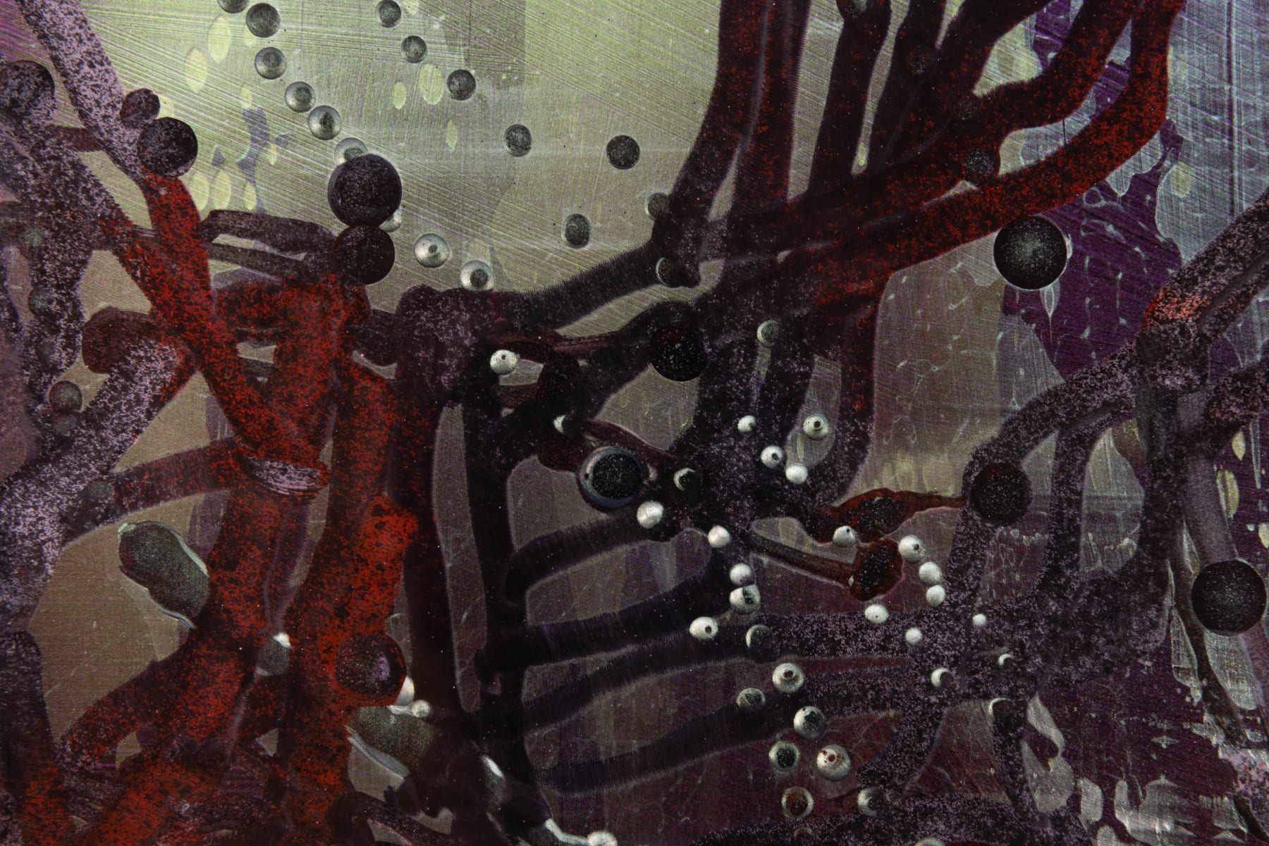 Kim Westcott, Forest Of Light - Winter I, 2024