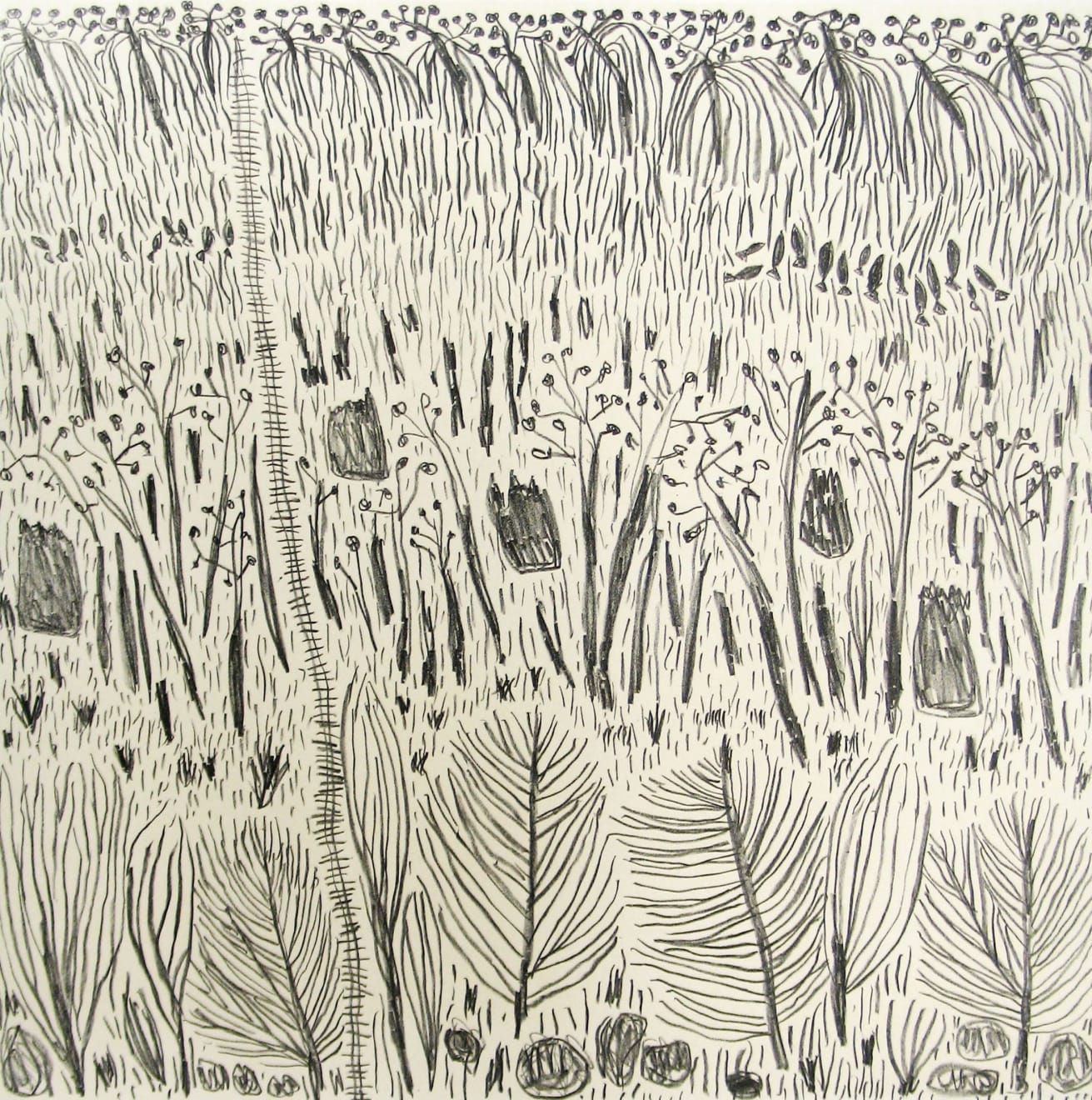 Marina Strocchi, The Territory (state II) black, 2007