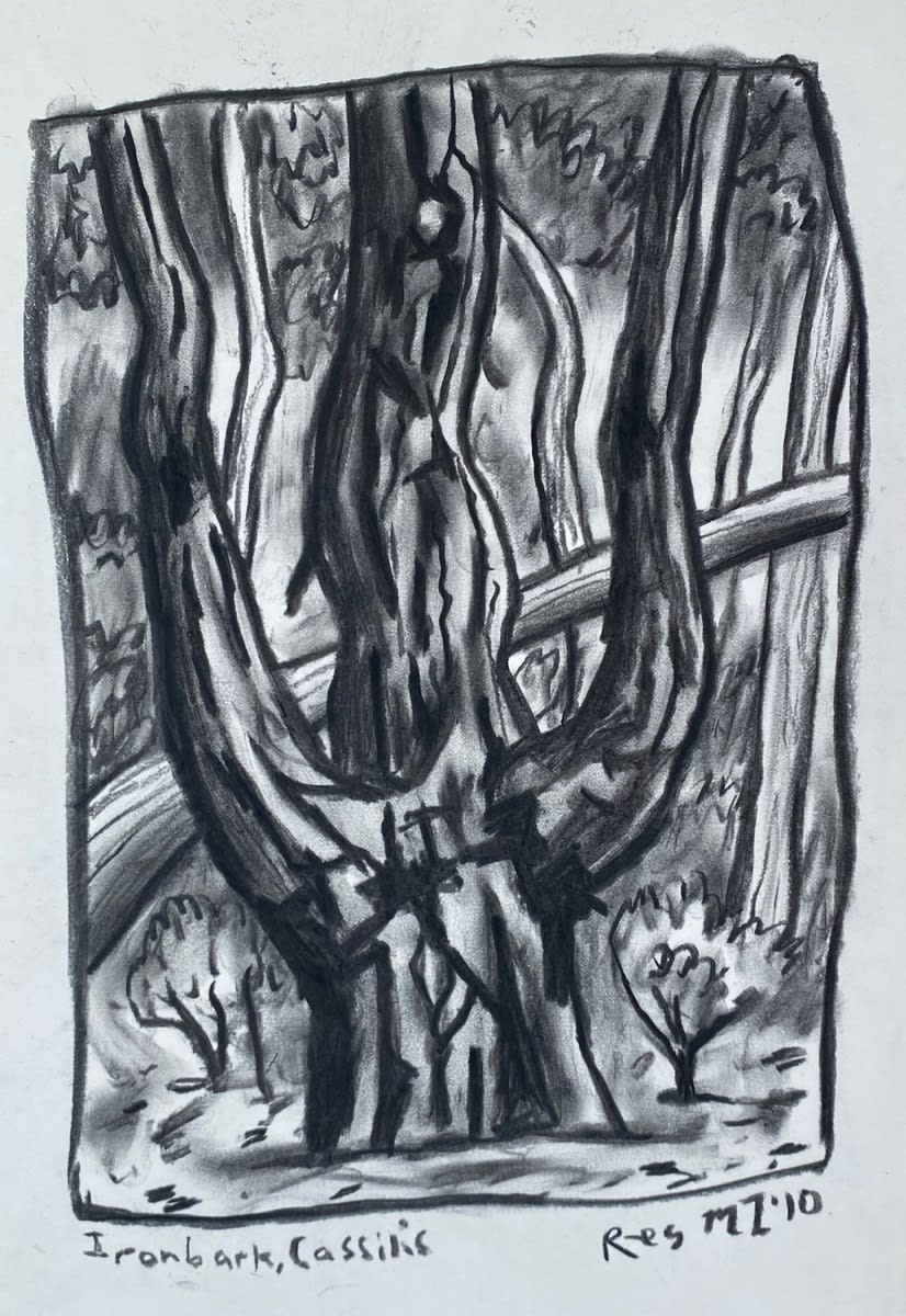 Reg Mombassa, Ironbark, Cassilis, 2010