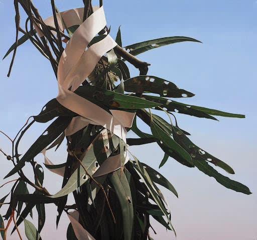 Juan Ford, Tentative Steps, 2008-09