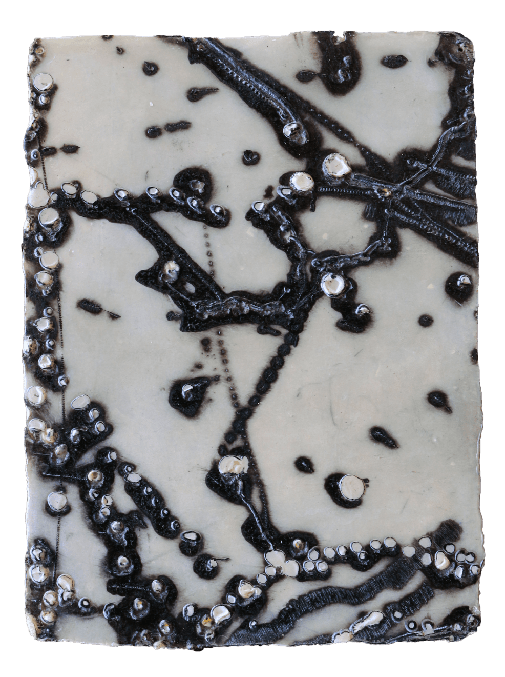 Kim Westcott, Untitled, 2010