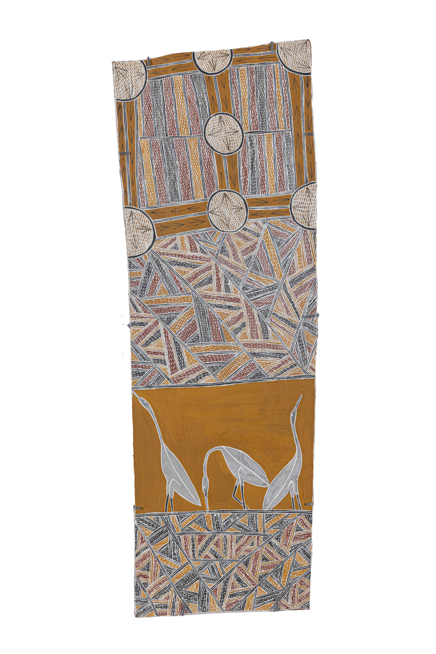 Bandarr Wirrpanda, Yalata, 2024