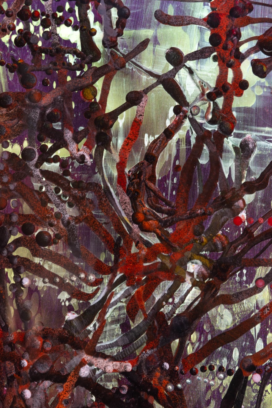 Kim Westcott, Forest Of Light - Winter I, 2024